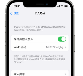 兴文apple服务站点分享iPhone上个人热点丢失了怎么办 