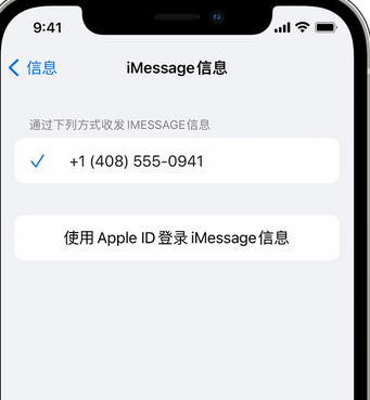 兴文apple维修iPhone上无法正常发送iMessage信息 