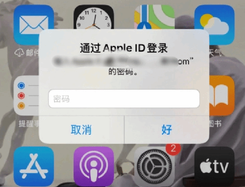 兴文苹果设备维修分享无故多次要求输入AppleID密码怎么办 