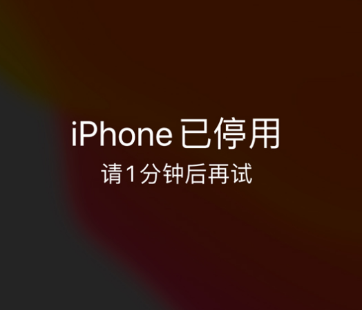 兴文苹果手机维修分享:iPhone 显示“不可用”或“已停用”怎么办？还能保留数据吗？ 