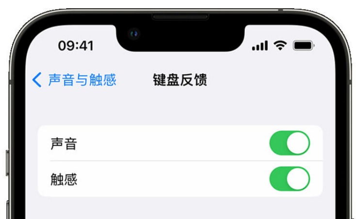 兴文苹果手机维修分享iPhone 14触感键盘使用方法 