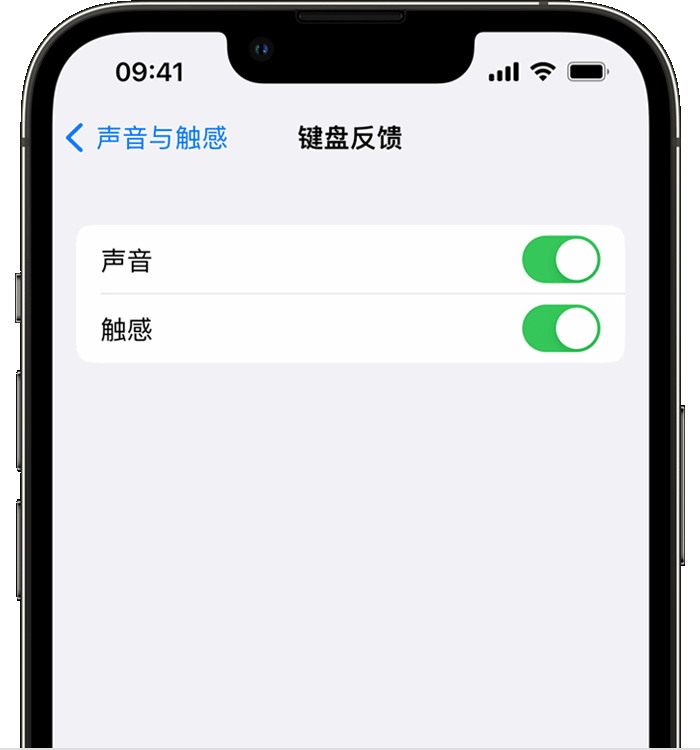 兴文苹果14维修店分享如何在 iPhone 14 机型中使用触感键盘 