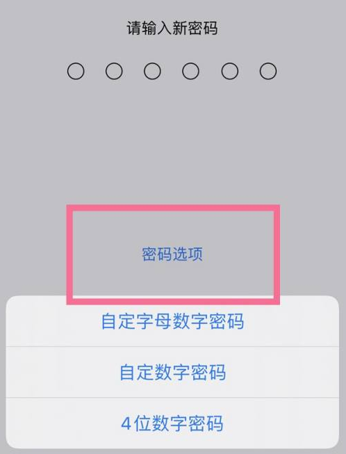 兴文苹果14维修分享iPhone 14plus设置密码的方法 