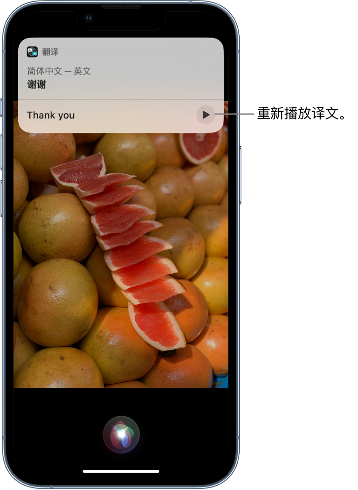 兴文苹果14维修分享 iPhone 14 机型中使用 Siri：了解 Siri 能帮你做什么 