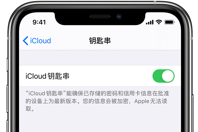 兴文苹果手机维修分享在 iPhone 上开启 iCloud 钥匙串之后会储存哪些信息 