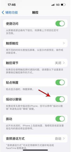 兴文苹果手机维修分享iPhone手机如何设置摇一摇删除文字 