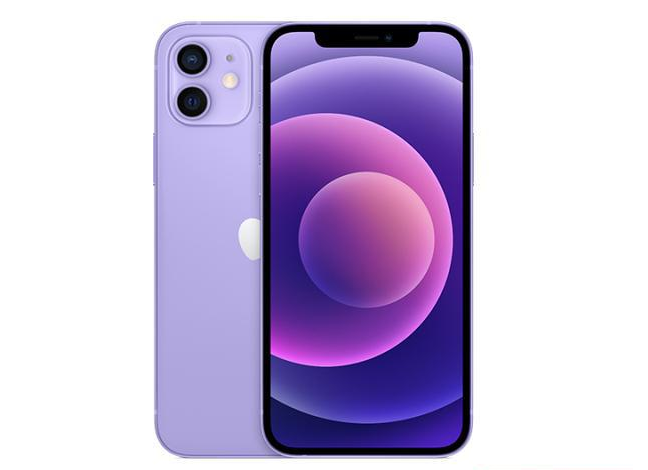 兴文苹果手机维修分享现阶段要不要入手紫色版iPhone12 