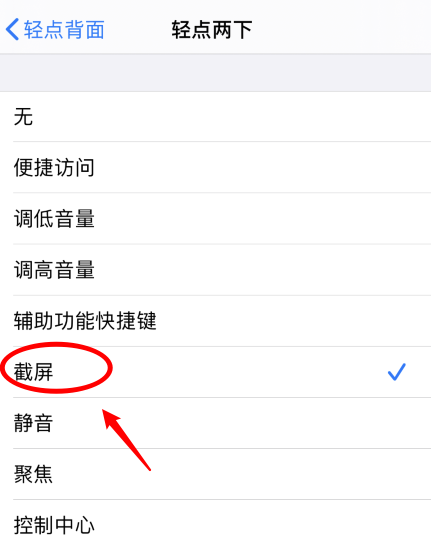 兴文苹果手机维修分享iPhone12如何启用双击截屏 